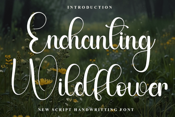 Enchanting Wildflower: A Designer’s Honest Review